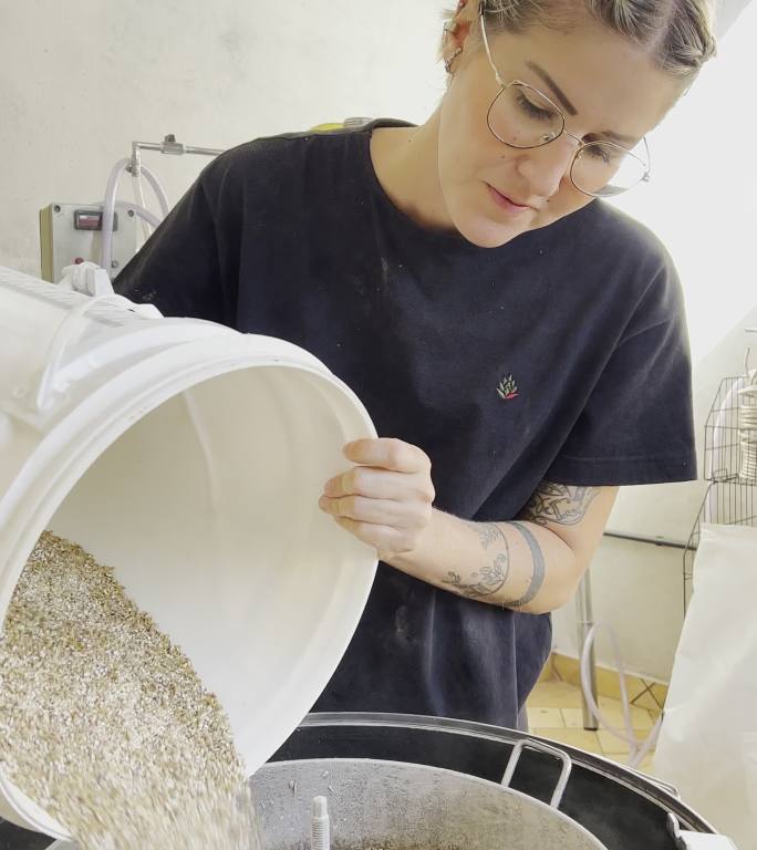 小企业中的女商人将压碎的大麦倒入自动罐中，用于生产工艺啤酒。