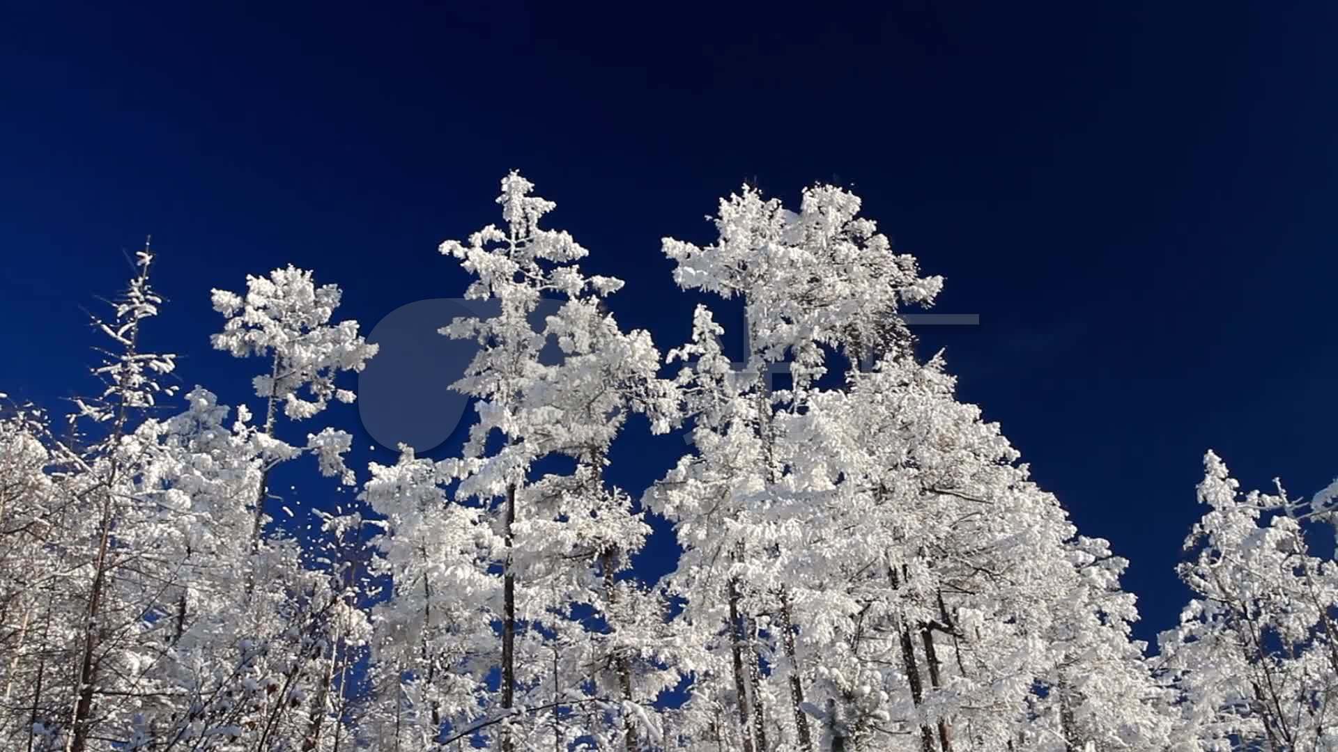 东北的冬天图片素材_免费下载_jpg图片格式_VRF高清图片500770127_摄图网