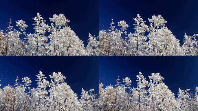 大兴安岭冬季雪林银装素裹