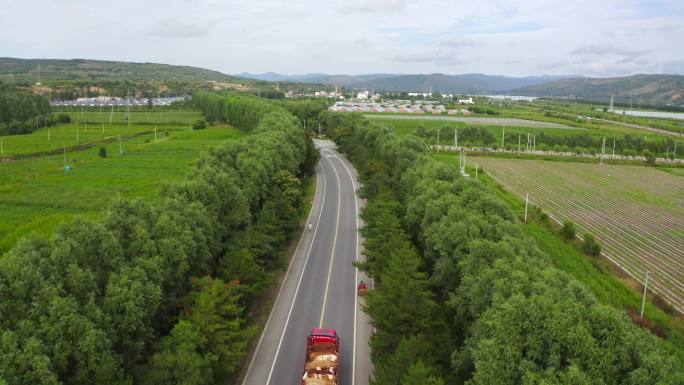 4K乡村公路 蔬菜大棚