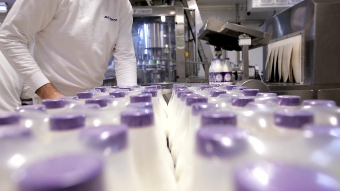 塑料奶瓶包装流水线标准化科技与狠活