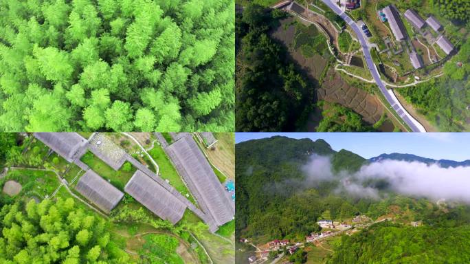 4K大别山村庄 乡村旅游打卡地