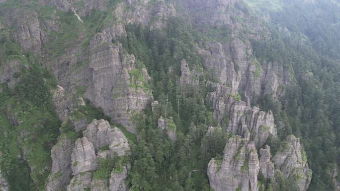 航拍湖北神农架神农谷石林 (7)