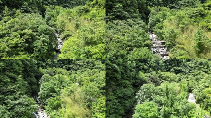 湖北神农架5A景区官门山 (7)