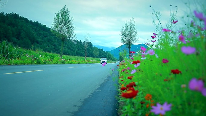 实拍东北乡村公路