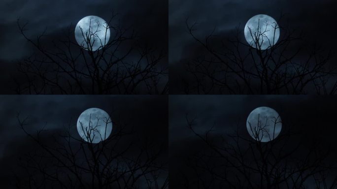 满月之夜狼人变身圆月阴森