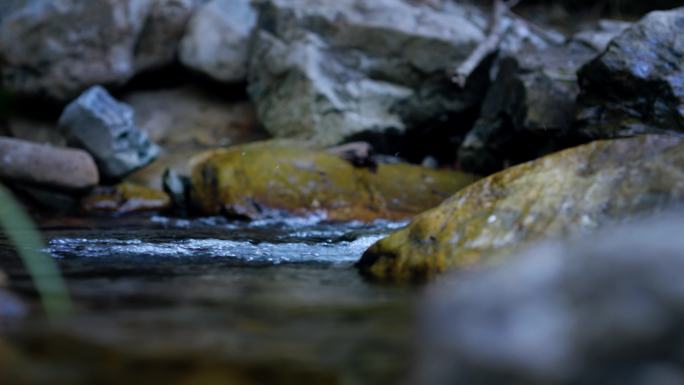 清澈溪流天然山泉水水资源白酒矿泉水宣传片