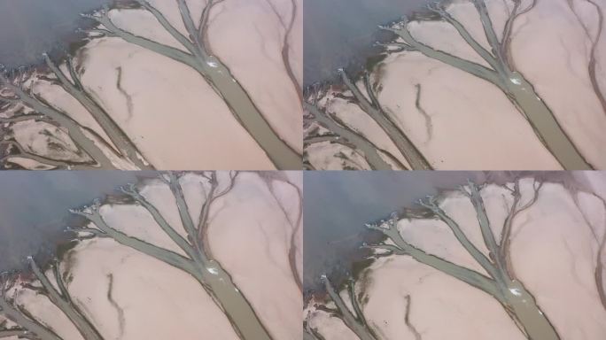 鄱阳湖大地之树航拍