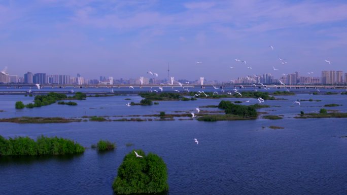 临沂城市沂河环保生态航拍