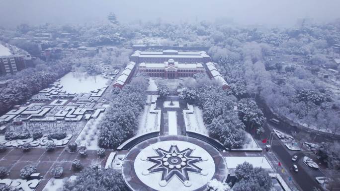 4k武汉冬季雪景