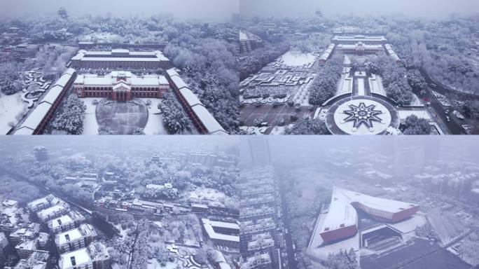 4k武汉冬季雪景