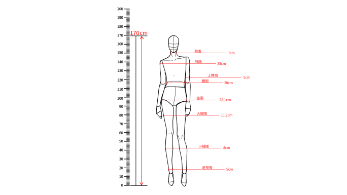 13款身高测量（全部内容可修改）