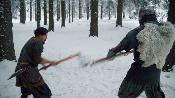 中世纪武士和骑士，在森林中战斗