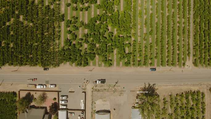 美国西部科罗拉多果园附近道路建设鸟瞰图农业4K视频系列