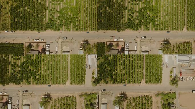 美国西部科罗拉多果园附近道路建设鸟瞰图农业4K视频系列