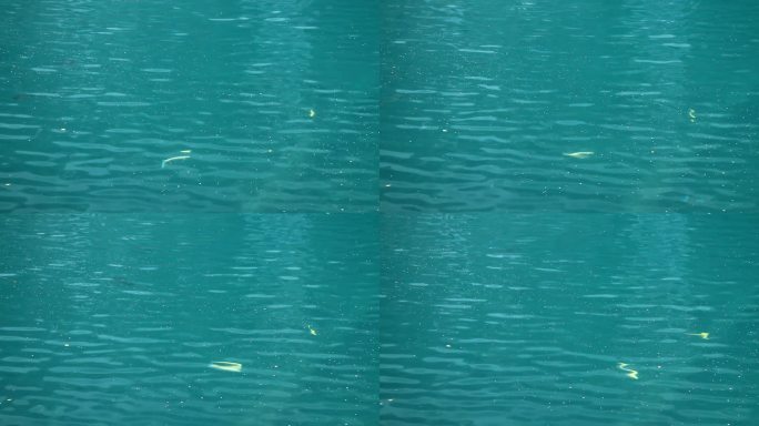 长白山保护区绿渊潭