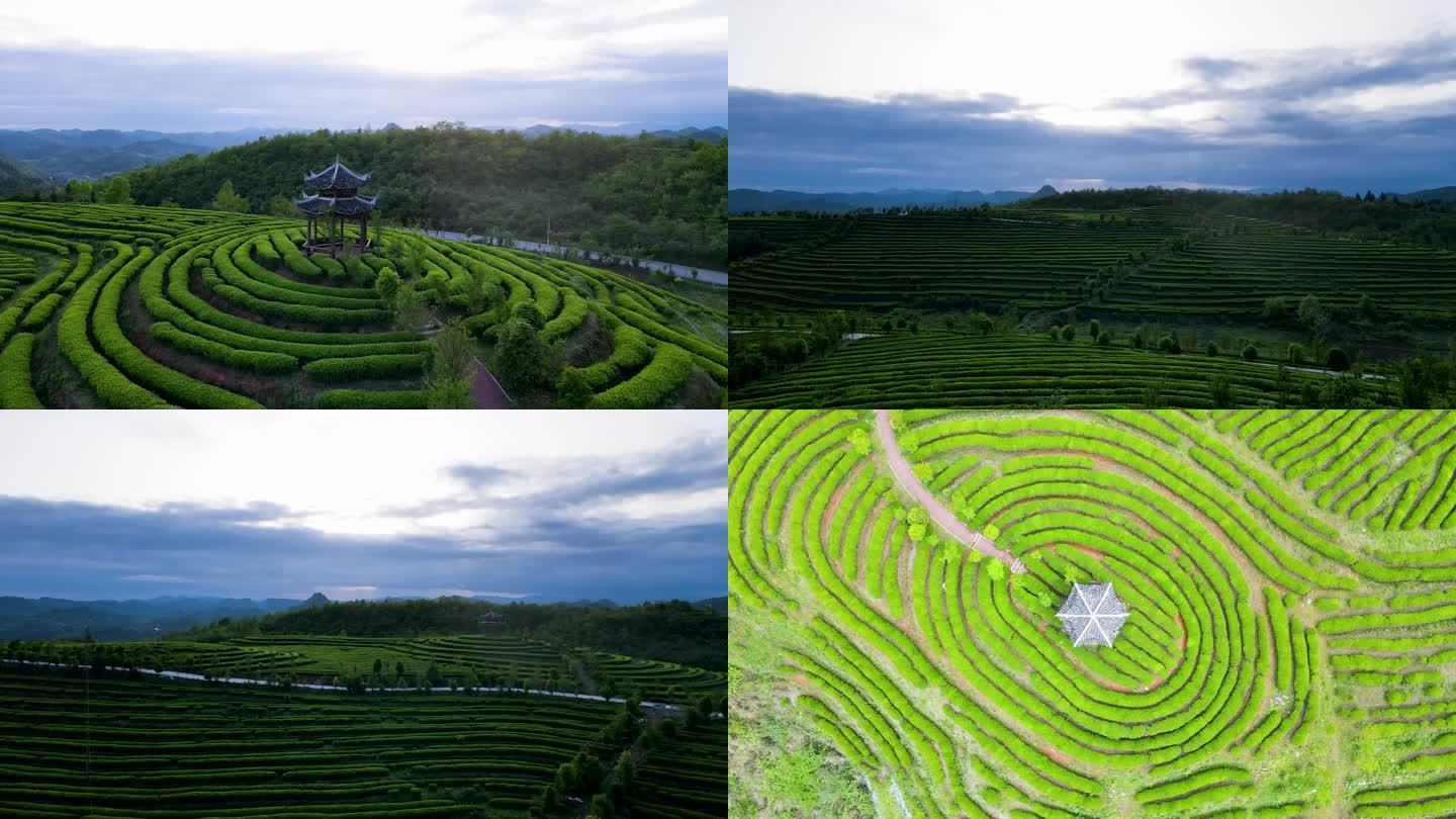 贵州岑巩天马镇苗落村日落茶园风光