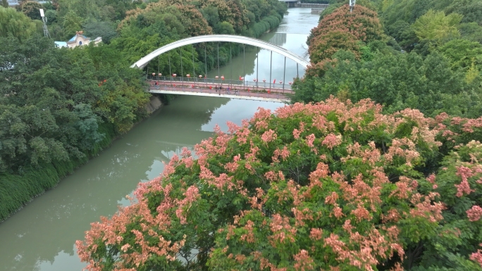 成都沙河东篱翠湖公园