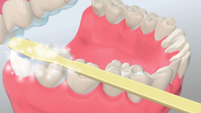 三维牙齿刷牙