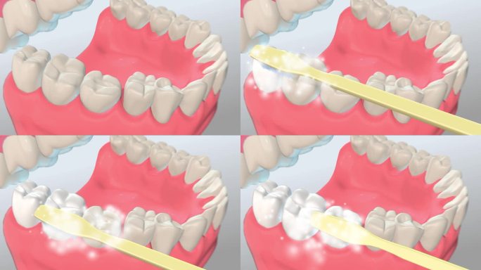 三维牙齿刷牙