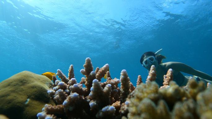 自由潜水员在热带气候岛的清水珊瑚礁和鱼群中游泳