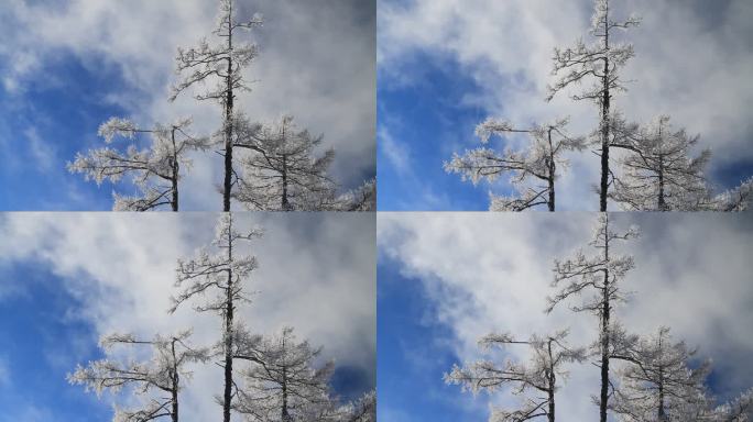 大兴安岭冬季雪林银装素裹