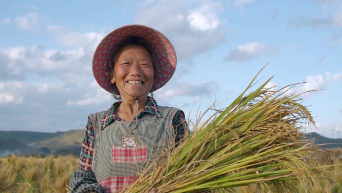 农民幸福的笑容在田野抱着稻谷微笑