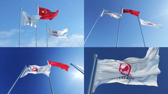 红狮控股集团有限公司旗帜
