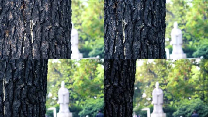 南京玄武湖公园石像
