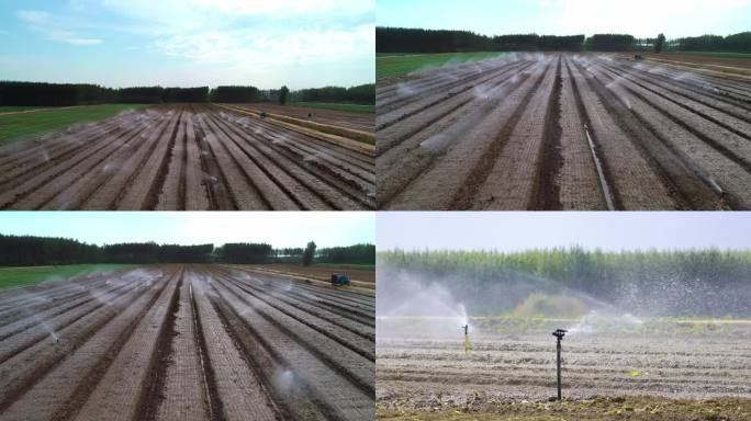 农业灌溉 农田浇灌 农村自动化浇地