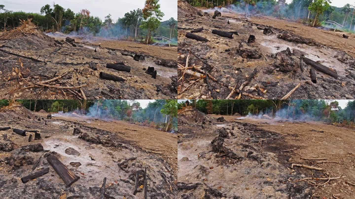 森林大火焚烧雨林砍伐森林以清理土地