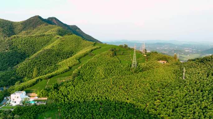 浙江莫干山航拍2