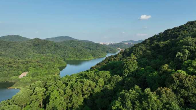 广州黄埔区萝岗木强水库徒步线路航拍