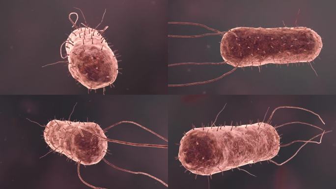 医疗病菌病毒细菌分子病原体疾病三维动画