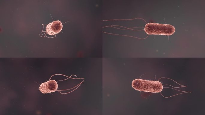 流感病毒病原体细菌微生物医疗三维动画素材