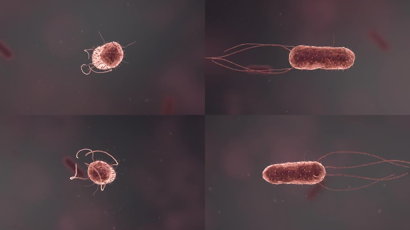 流感病毒病原体细菌微生物 医疗 三维动画