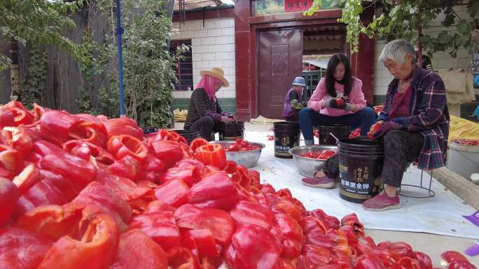 农村妇女手工甜椒挖瓤取籽