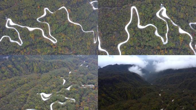 陕西黄柏源龙头山云海巴中光雾山秋景