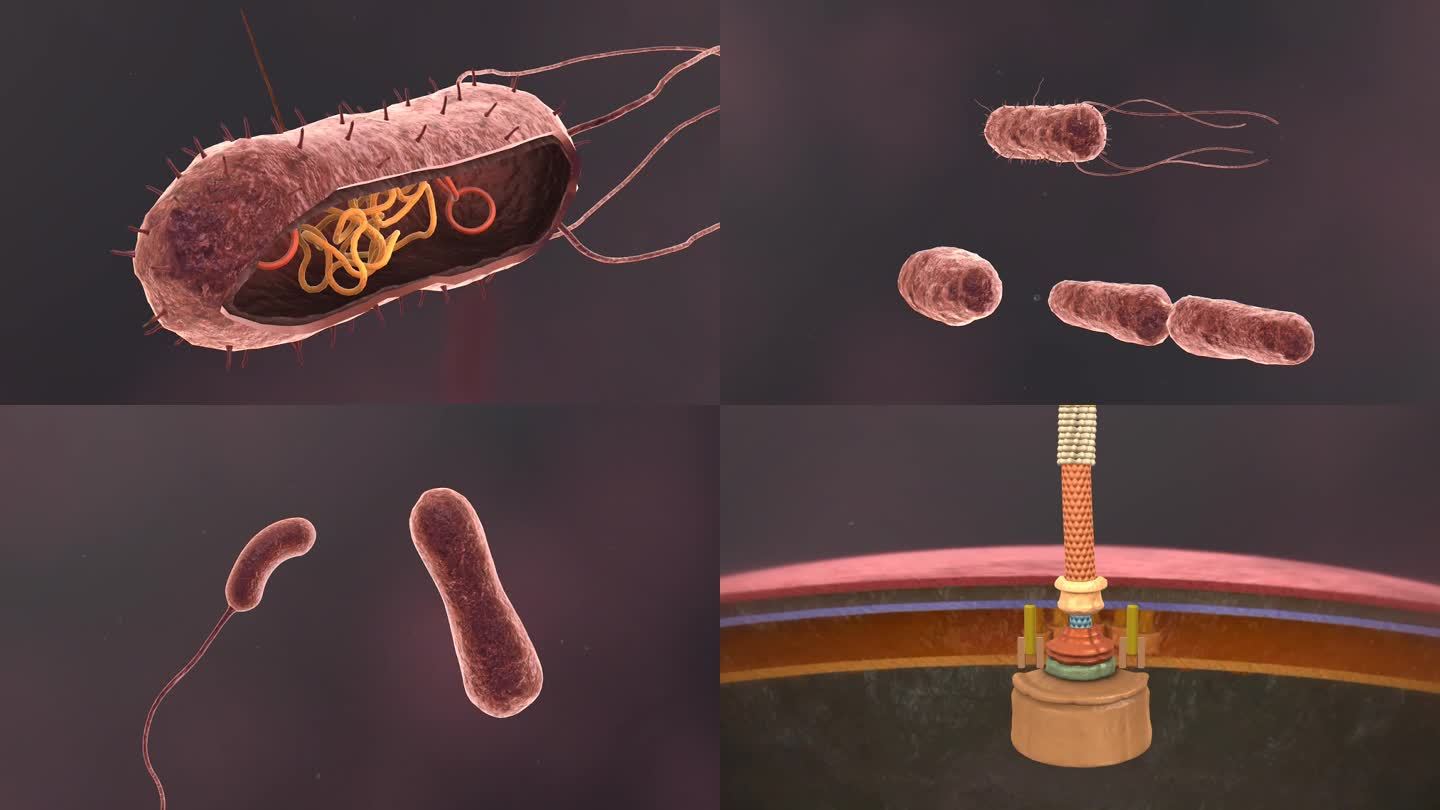 医学细菌流行传染病毒 医学 三维 动画