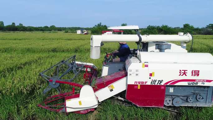 稻田 播种 收割 丰收 机械