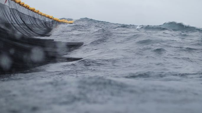 拖网工业渔网远洋捕捞大海渔网黑色海水
