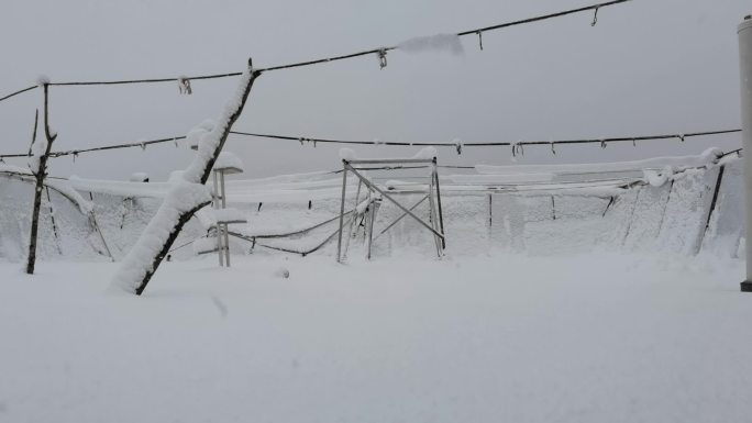 下雪 夜景 路灯 冬天 寒冬 立冬 积蓄