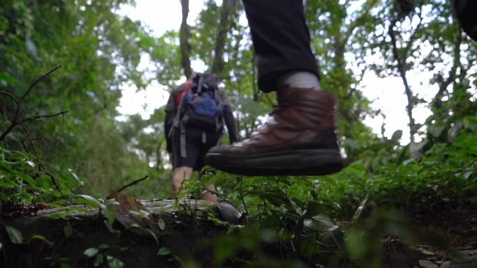 一群朋友在森林里徒步旅行