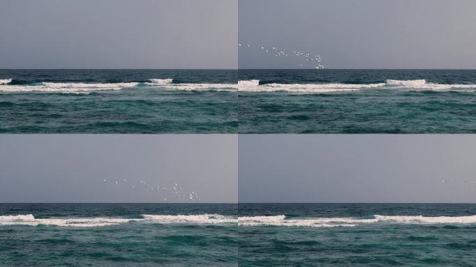 海浪上方一群海鸟飞过