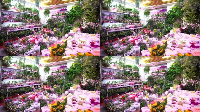 花鸟市场顾客实拍元素擦爱花店鲜花