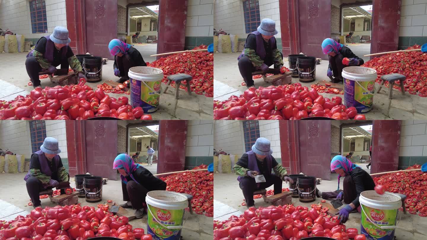 农村妇女切割甜椒