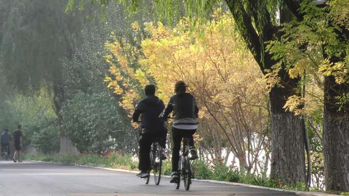 公园早晨晨练跑步骑行锻炼郊游旅游逛公园