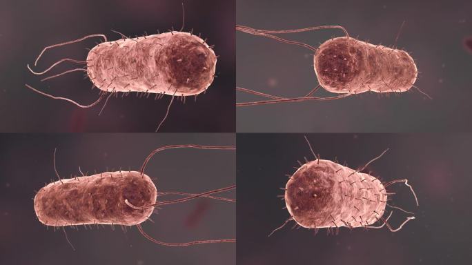 医学病原体病毒病原体病菌细菌医疗三维动画
