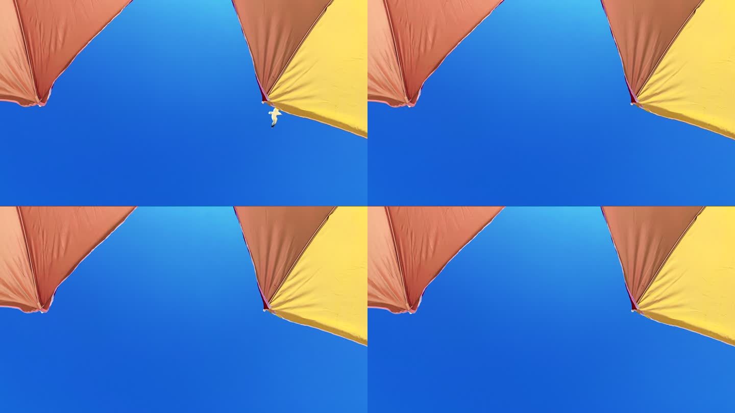 海鸥在沙滩伞上方飞翔