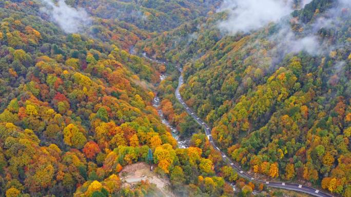 陕西黄柏源龙头山云海巴中光雾山秋景